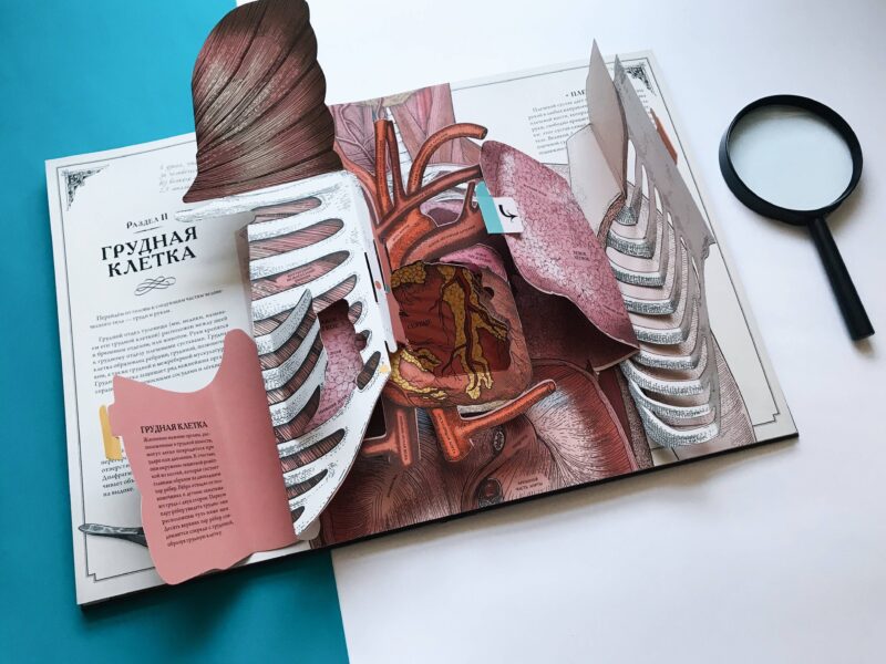 книги по анатомии