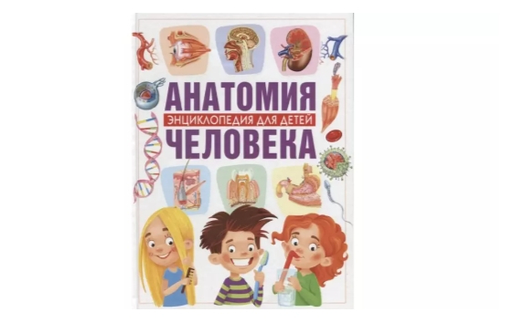Гуиди В. Анатомия человека. Энциклопедия для детей