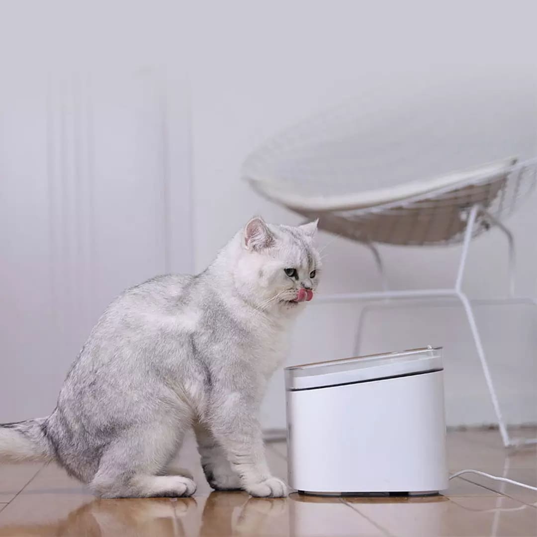 Xiaomi Фонтан для кошек и собак Mijia Smart Pet Water Dispenser XWWF01MG