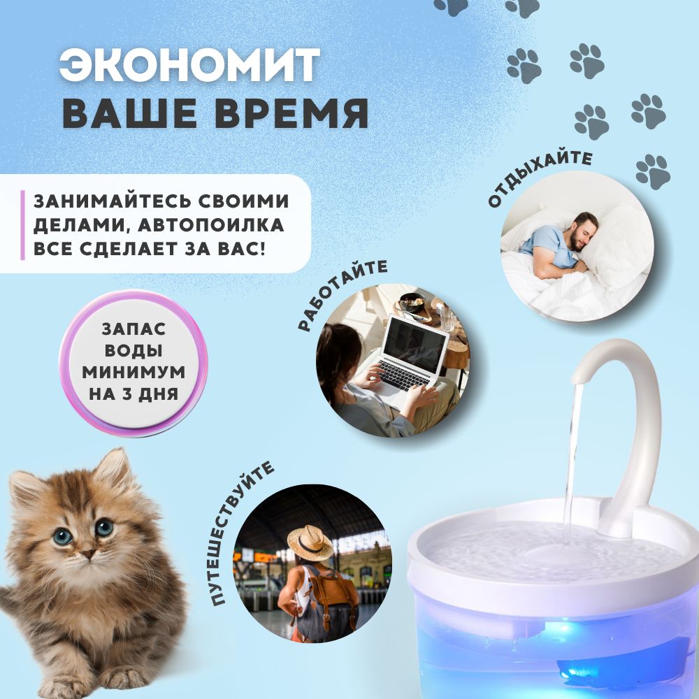 PetPaw для кошек и собак с подсветкой