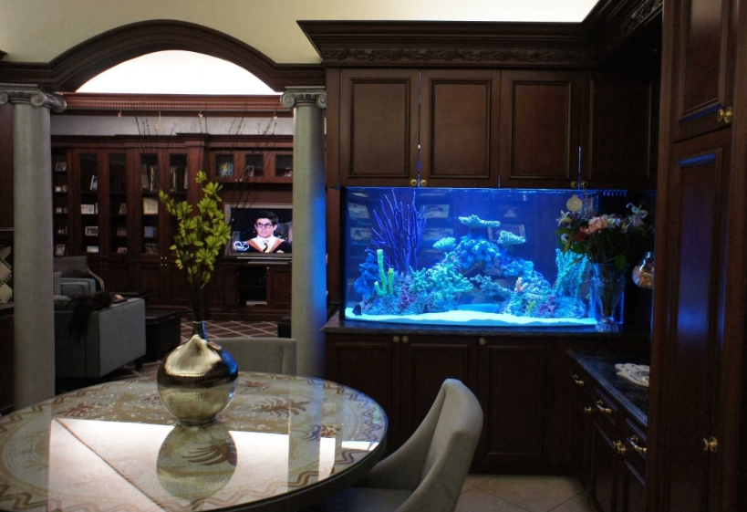 Обзор домашних аквариумов
