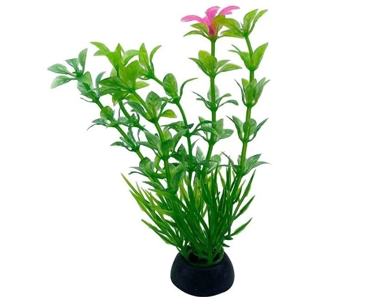 Аквариумное растение P305