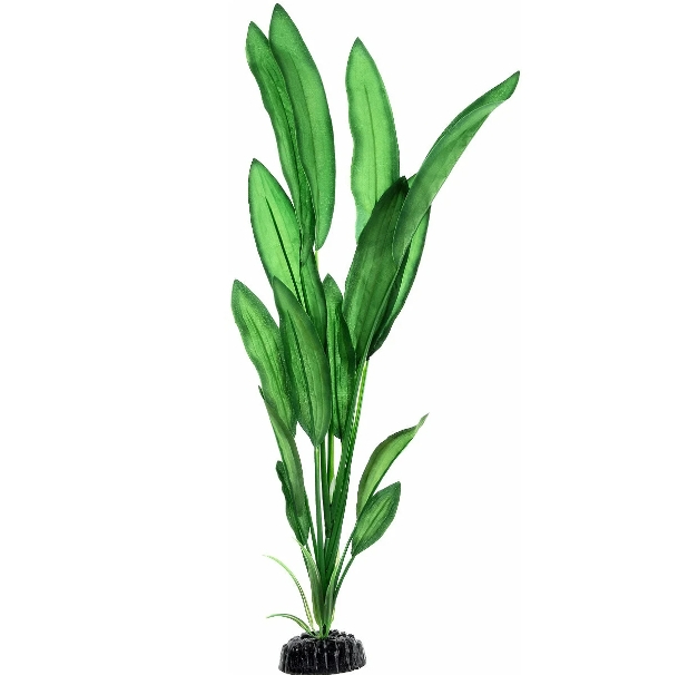 Аквариумное растение Barbus "Эхинодорус Блейхери"