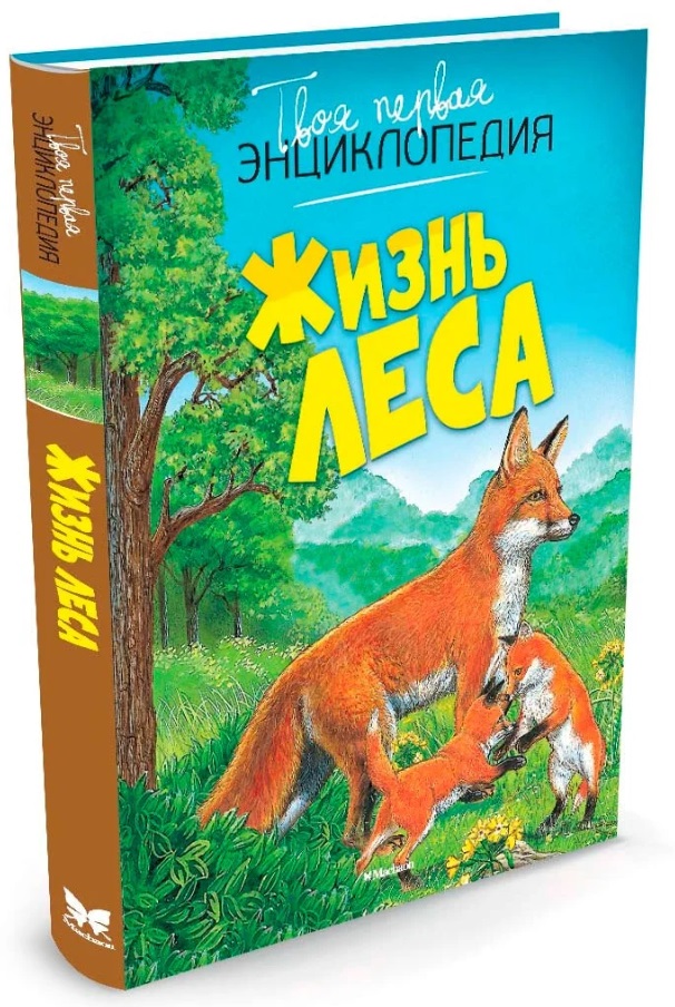 Книга о животных для детей Жизнь леса
