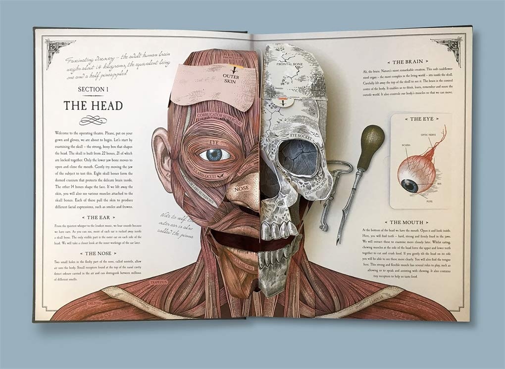 ТОП книг по анатомии