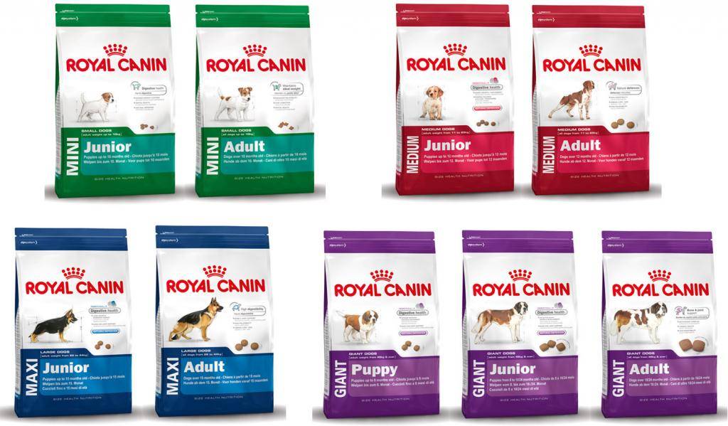 Обзор кормов для собак Royal Canin