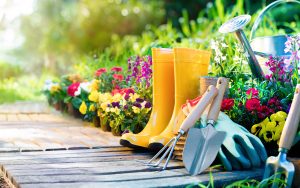 The Best Gardening Products